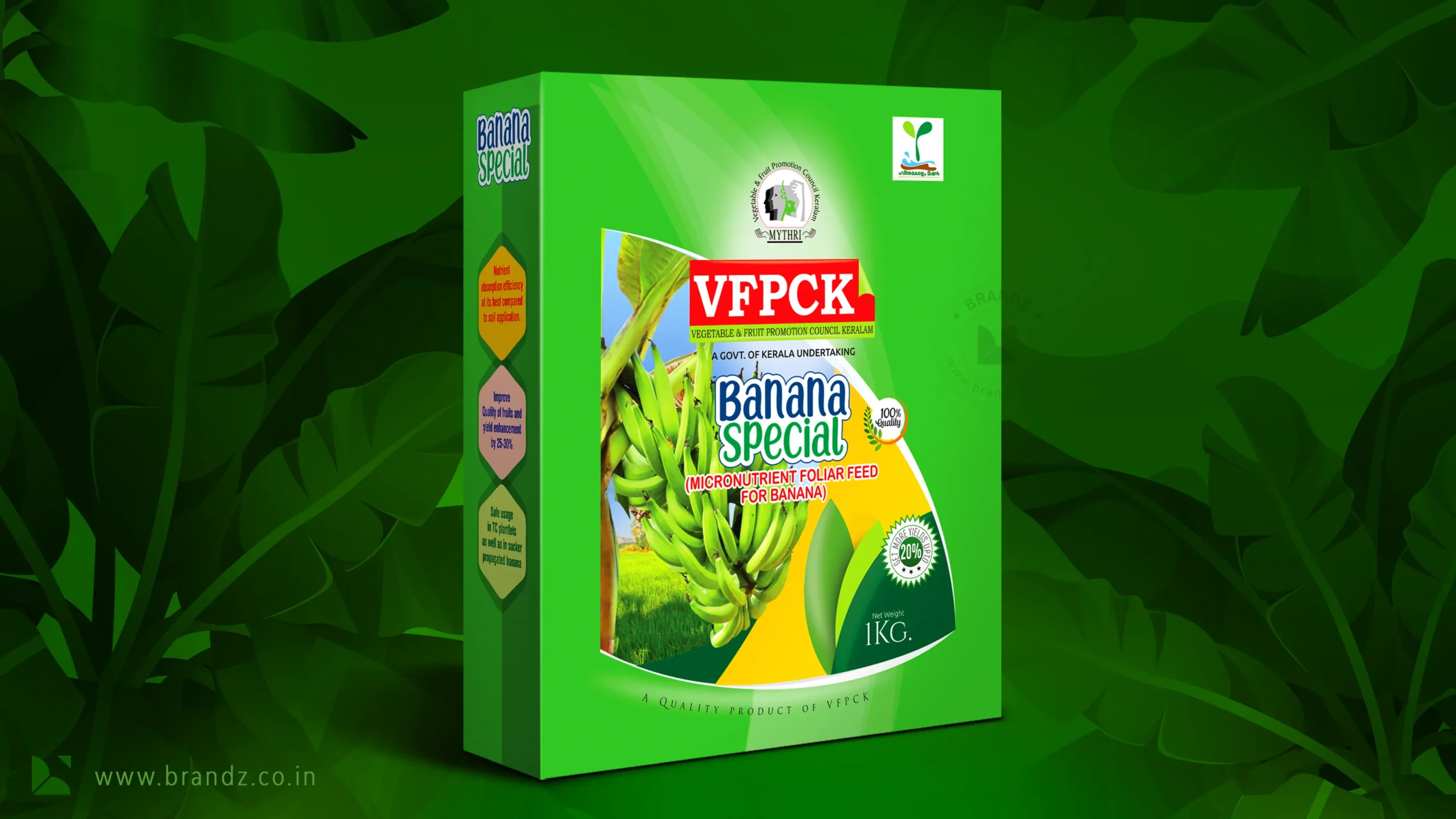 VFPCK banana special box