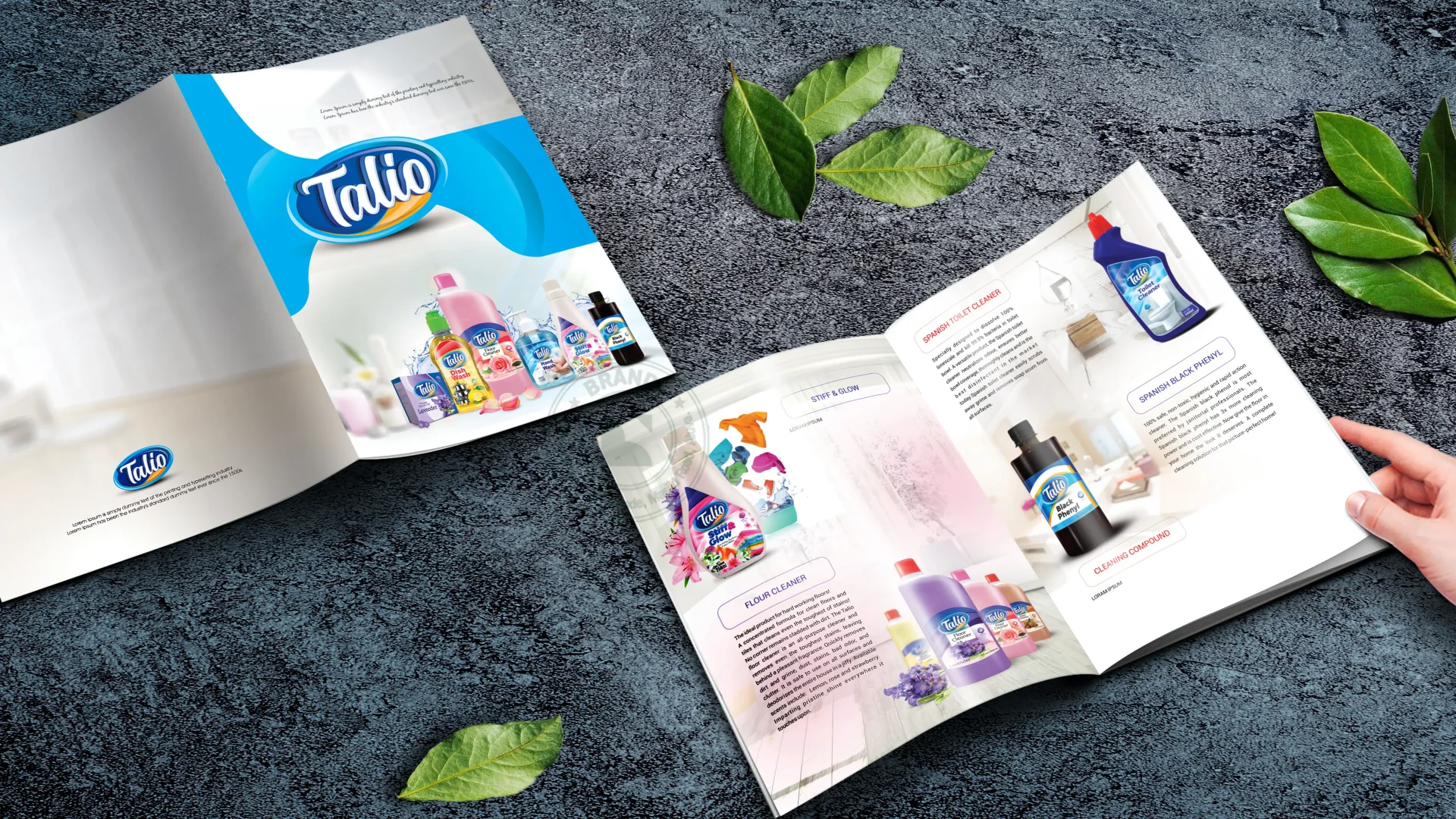 Talio Brochure