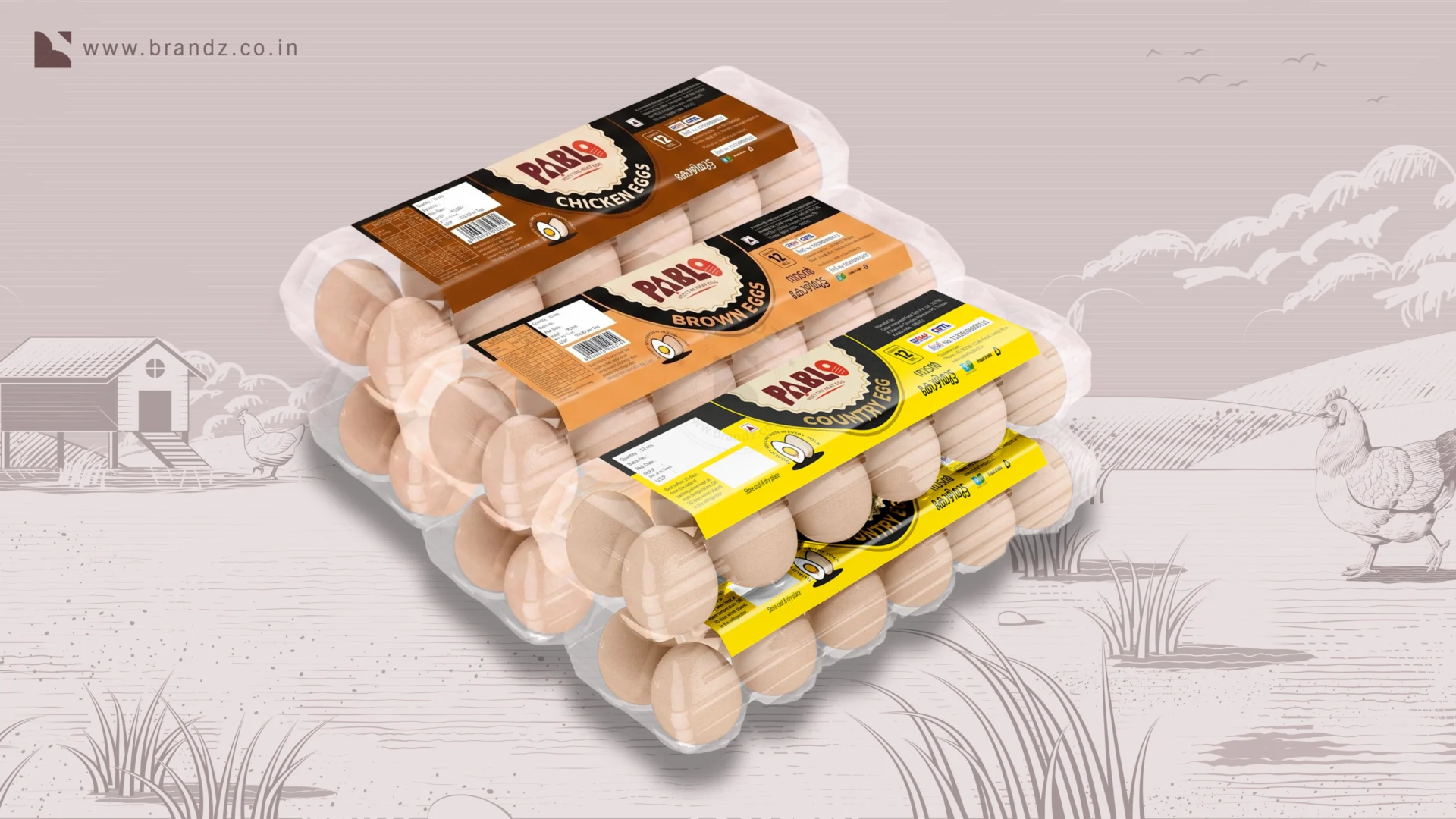 Pablo Egg Box Label